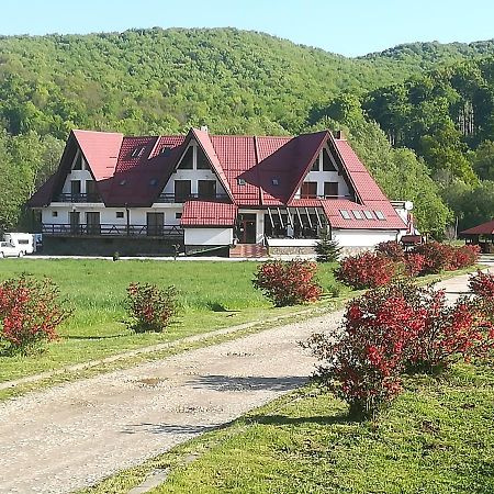 Rîşnov 拉斯诺夫旅馆酒店 外观 照片