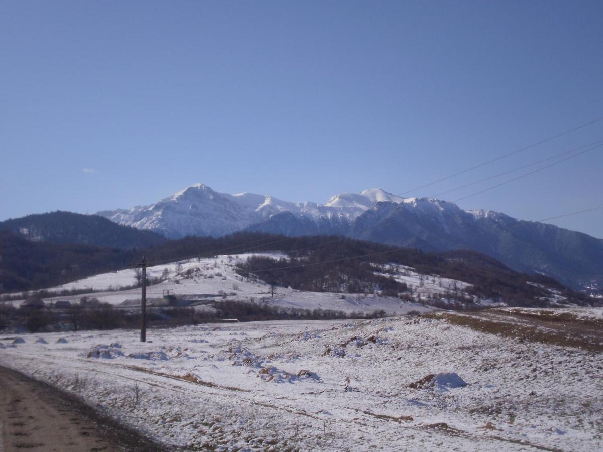 Rîşnov 拉斯诺夫旅馆酒店 外观 照片