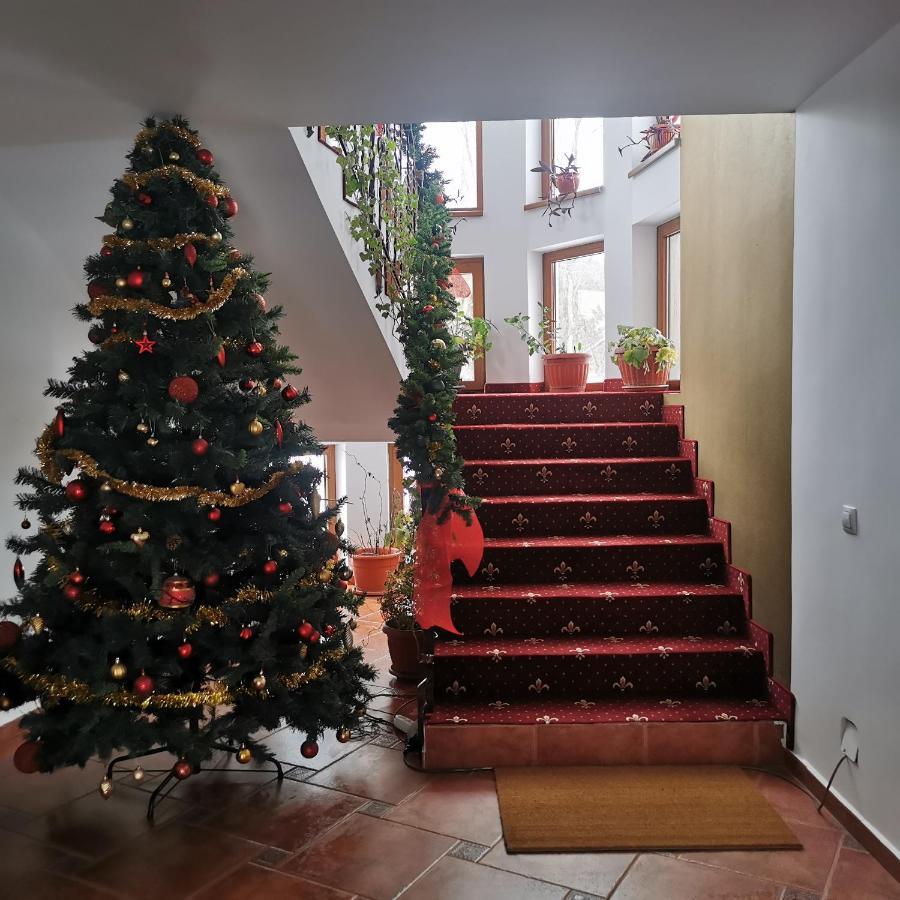Rîşnov 拉斯诺夫旅馆酒店 外观 照片