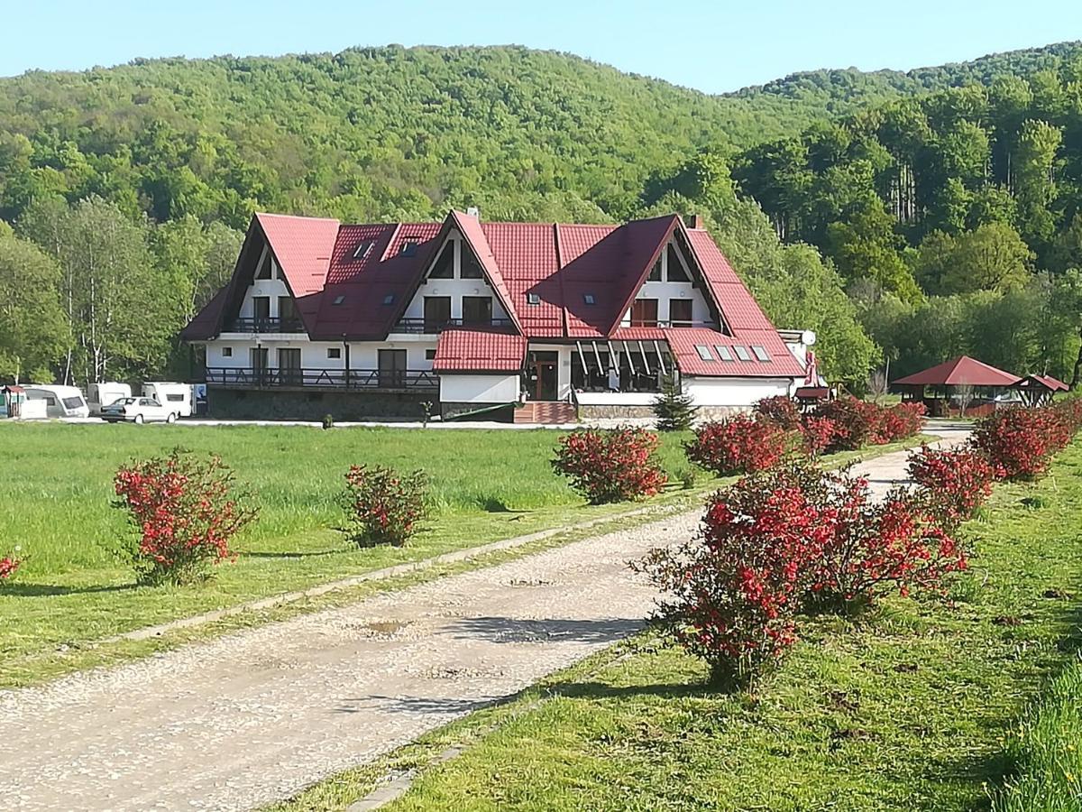 Rîşnov 拉斯诺夫旅馆酒店 外观 照片