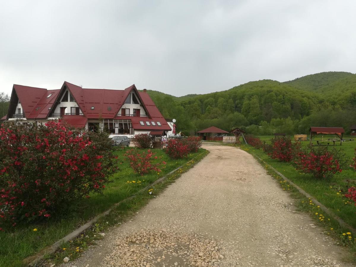 Rîşnov 拉斯诺夫旅馆酒店 外观 照片