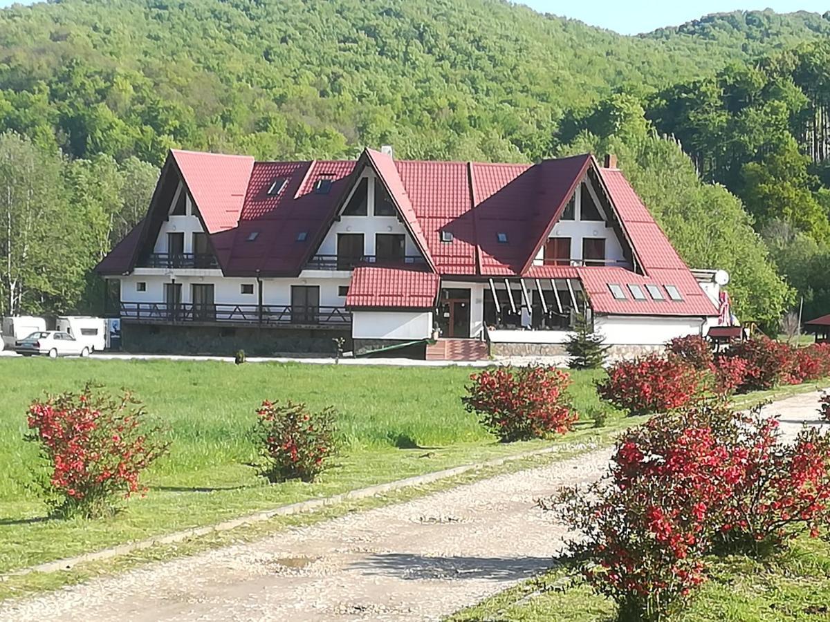 Rîşnov 拉斯诺夫旅馆酒店 外观 照片